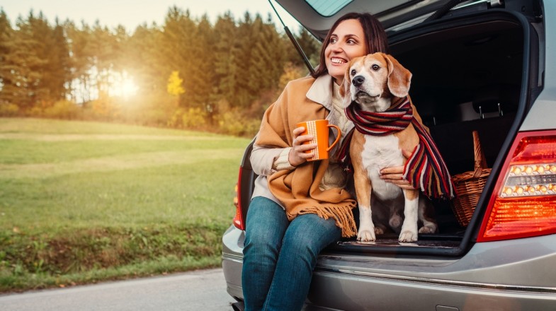 9 Tips to Make Traveling with Pets Much Easier